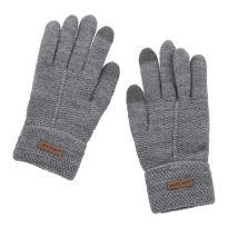 Handschuhe Touchfunktion, grau