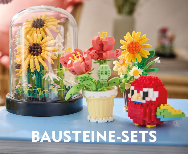 Bausteine-Sets aus Klemmbausteinen