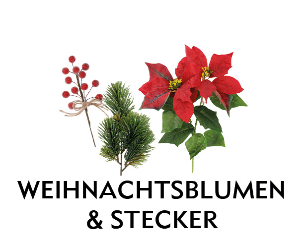 Weihnachtsblumen & -Stecker bei Nanu-Nana